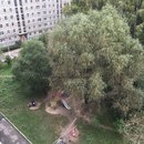 Объявление от Анастасия - фото №1