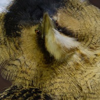 Даша Просто |