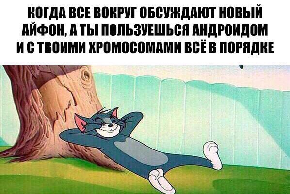 0yMW3tRkUbo.jpg
