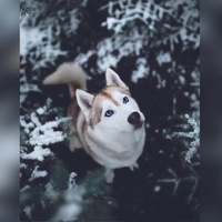 Джамиля Рамазанова | 