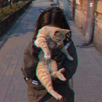 Анастасия Новикова