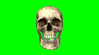 FREE GREEN SCREEN SKULL ☯ CHROMA KEY ☯ ФУТАЖ ХРОМАКЕЙ ЧЕРЕП ➥ yda4aTV