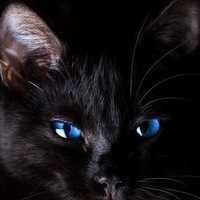 Василий Попов