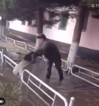 Армея