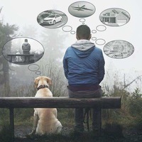 Александр Петров  Сергеевич