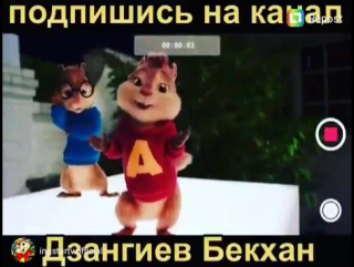 дзангиев бетхан теща дзангиев бетхан теща