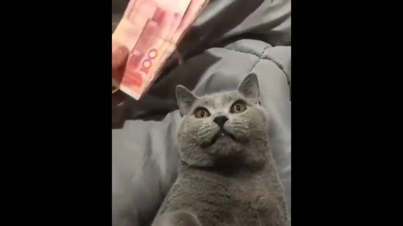Не трошь,мои