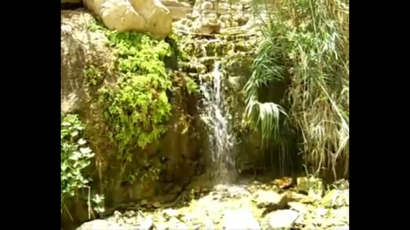 Водопады и ручьи оазиса Эйн-Геди