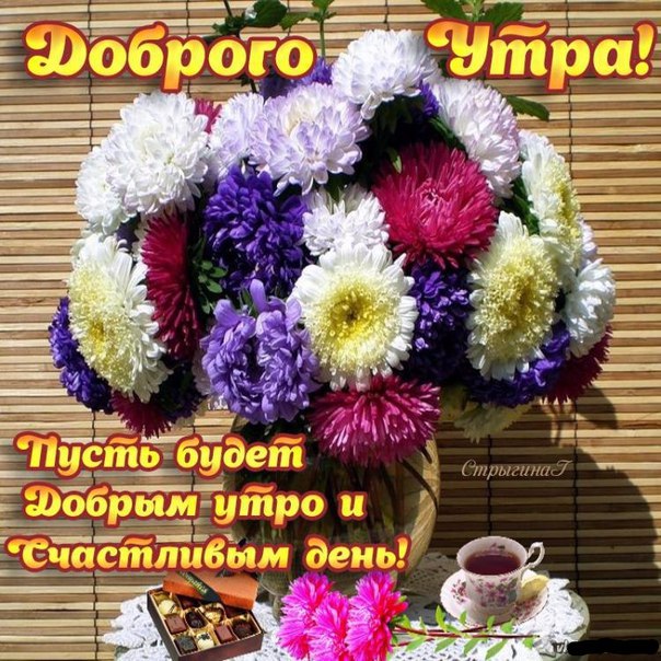 https://pp.userapi.com/c840432/v840432439/1586a/cs876n4zRaY.jpg