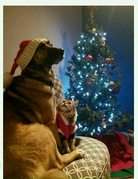 - Ты куда смотришь<br>- В светлое будущее! - фото Фото: - Ты куда смотришь<br>- В светлое будущее!