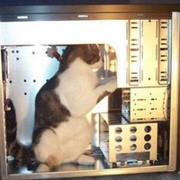 Альфред Носин