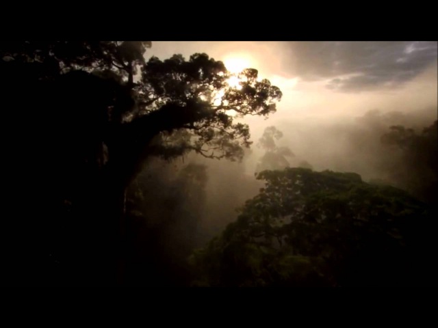 Tiësto - Ten Seconds Before Sunrise