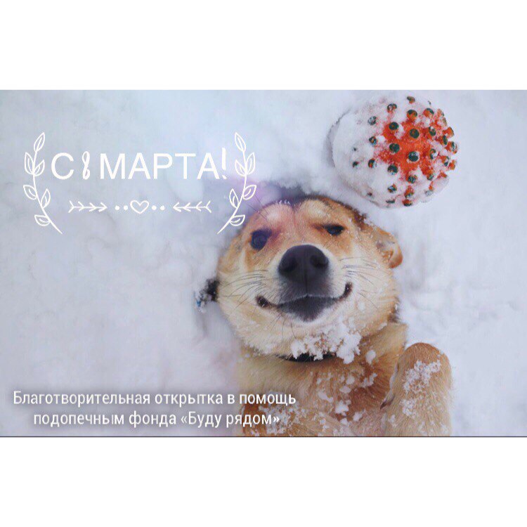 Марта, открытки благотворительность