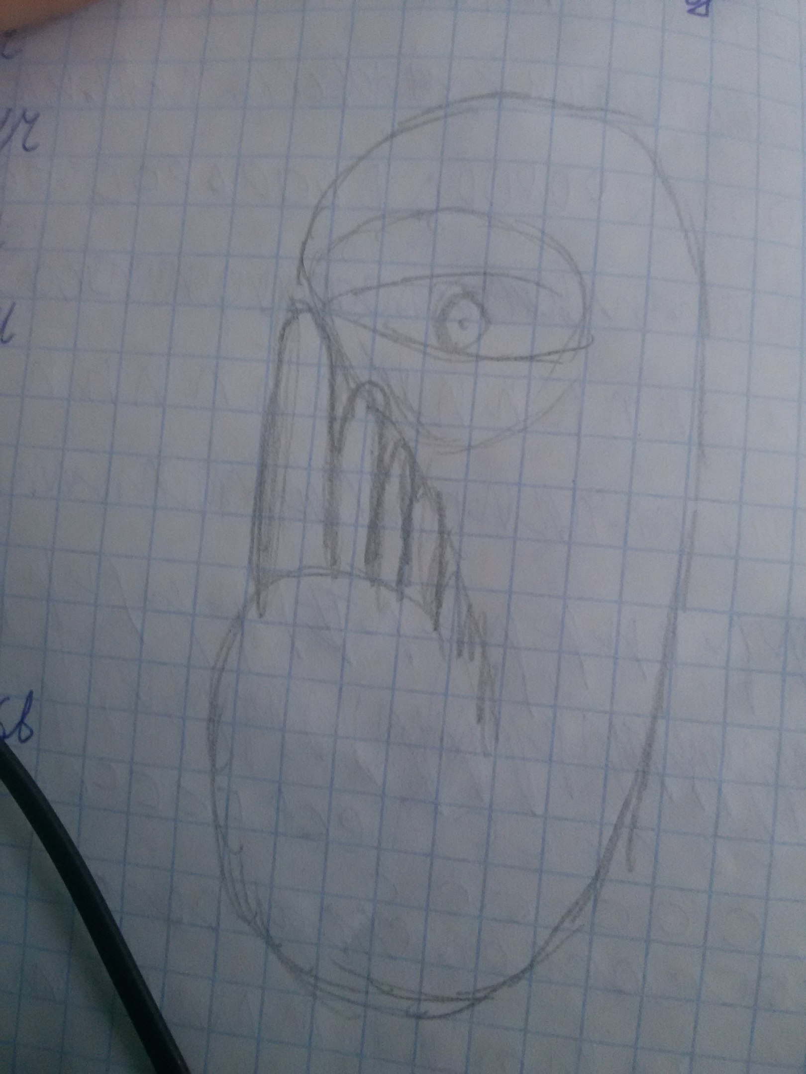 2IMNizKzPu4.jpg