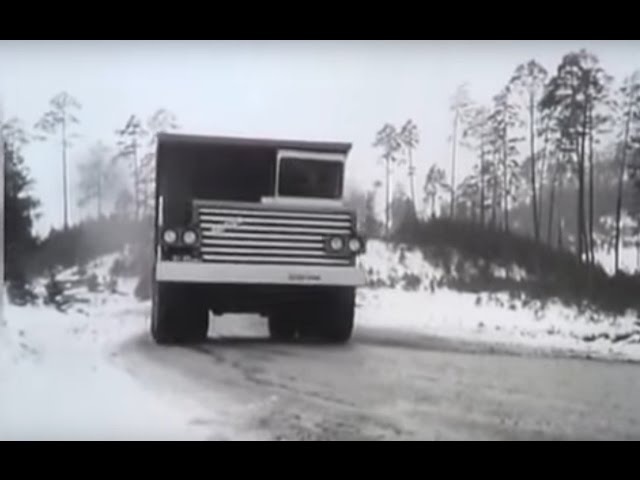 Нараджэнне волата