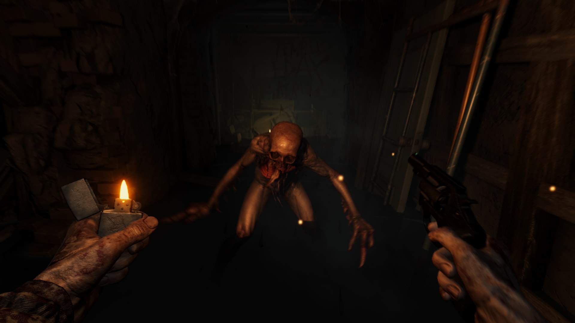 �����������