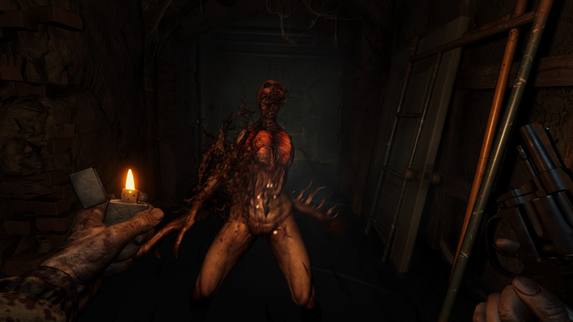 �����������