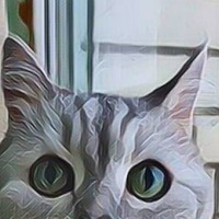 Тимофей Калинкин | 