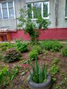 Объявление от Петр - фото №1