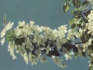 Ренат Ибрагимов - Талая вода