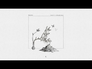 Plini –