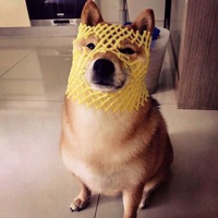 Андрей Андреев