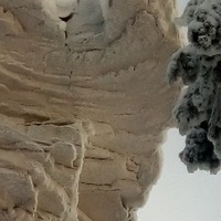 Ната Сбоева