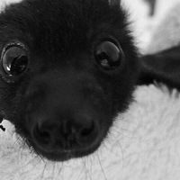 Владислав Ткачук |