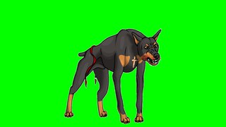 FREE GREEN SCREEN DOG ☯ CHROMA KEY ☯ ФУТАЖ ХРОМАКЕЙ СОБАКА ➥ yda4aTV