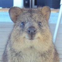 Николай Пурик