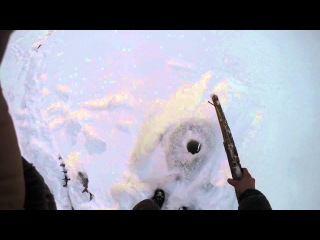 Рыбалка на хариуса зимой.