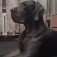 Александр Климчук | 