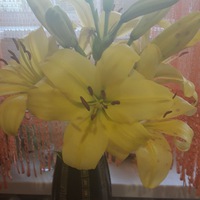 Екатерина Мансурова | Москва