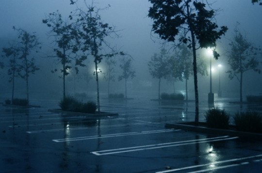 https://pp.userapi.com/c840520/v840520386/1df7f/d2vapxnatrg.jpg