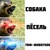 Фото пользователя Эранит