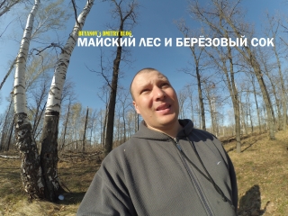 ранние цветы майского леса и берёзовый сок(блог Буянова Дмитрия)