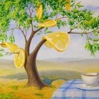 Лена Басова