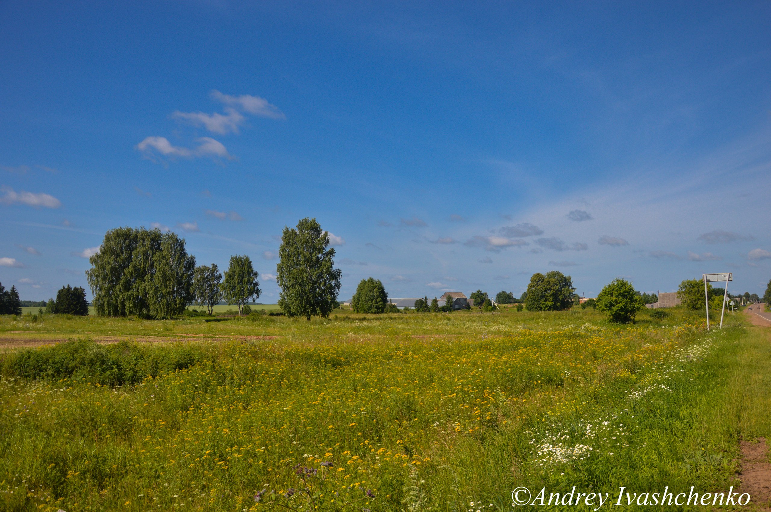 Дизьмино ярский район карта