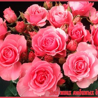 Ирина Костюк | 