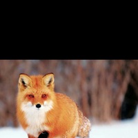 Людмила Кретова | 