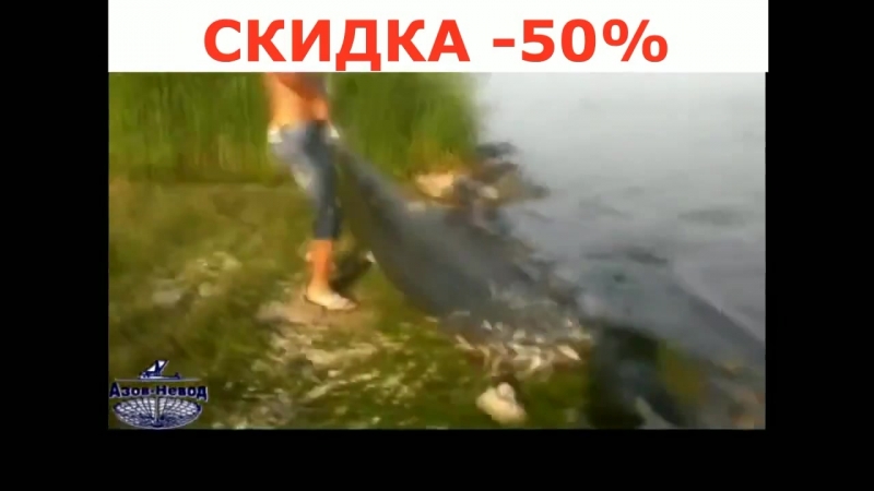 Супер сеть Findfish. Обзор