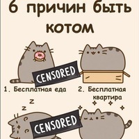 6 причин жить