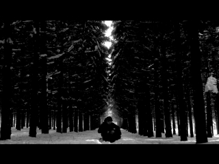 Аффинаж - Серьги (Януш Христорождественский cover)