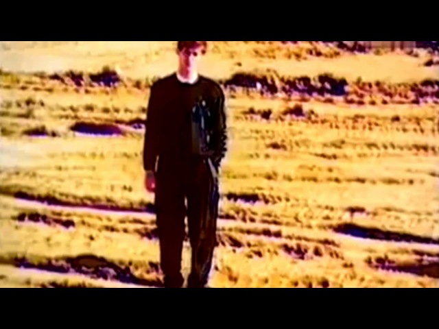 P.Lion - Dreams