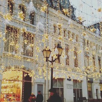 Мария Липатова |