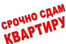 Объявление от Ольга - фото №1