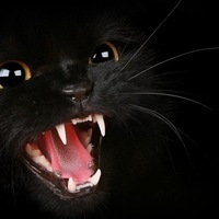 Таня Панина | 