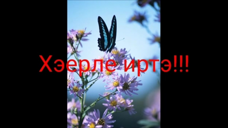 җыр,Санама кәккүк