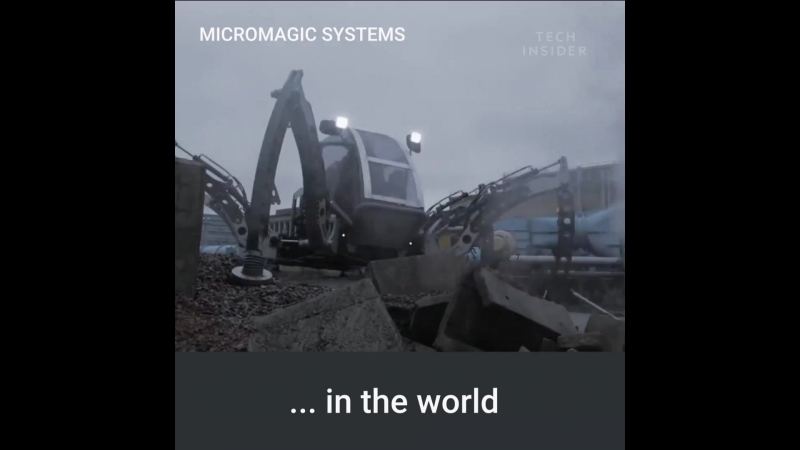 Шестиногий мех