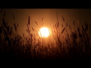 Баба Яга (Baba Yaga) - Ой, то не вечер (So Ends Another Day)